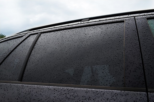 car window