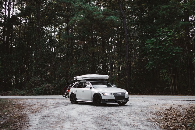 winter car winter car