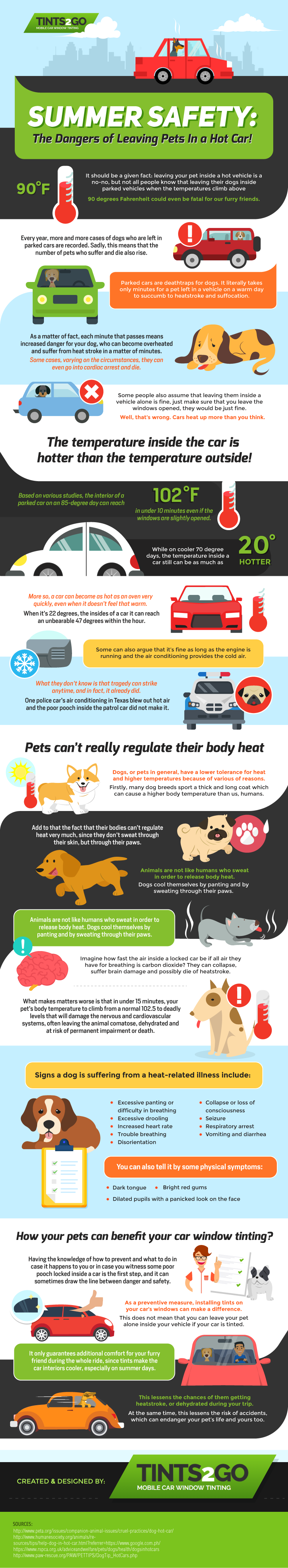 Summer Safety The Dangers of Leaving Pets in a Hot Car Summer Safety The Dangers of Leaving Pets in a Hot Car