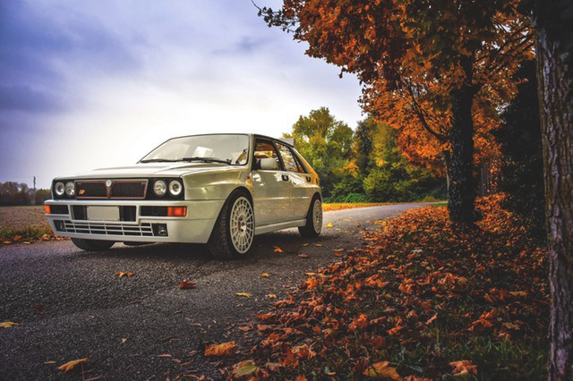 autumn